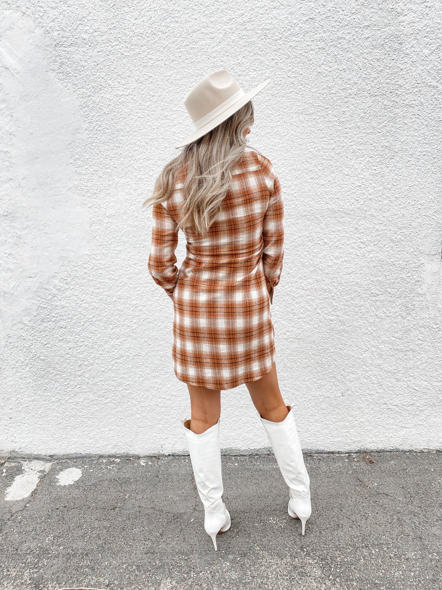 Plaid Flannel Dress