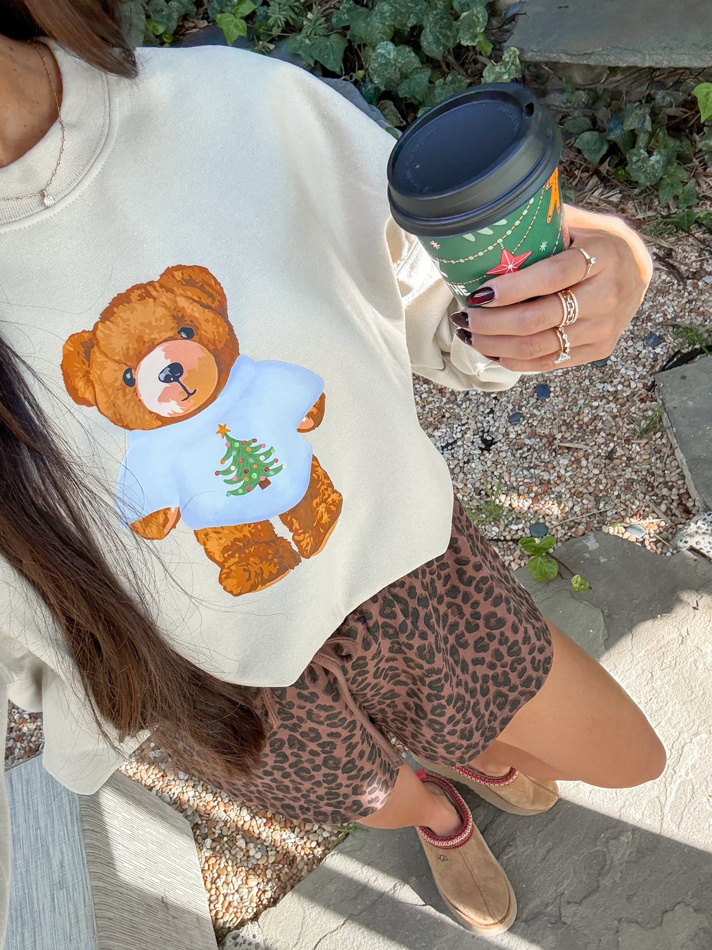 Cozy Teddy Sweater